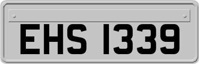 EHS1339