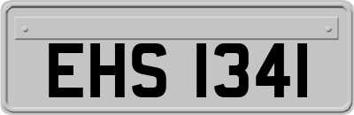 EHS1341