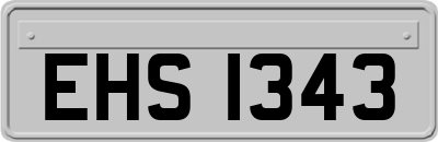 EHS1343