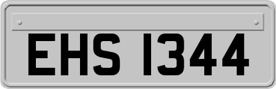 EHS1344