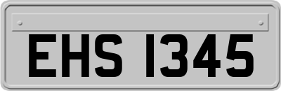 EHS1345
