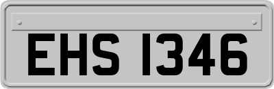 EHS1346