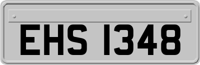 EHS1348