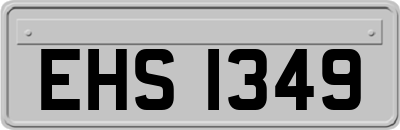 EHS1349