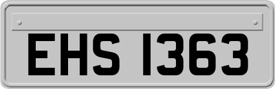 EHS1363