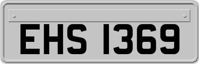 EHS1369