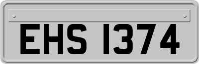 EHS1374