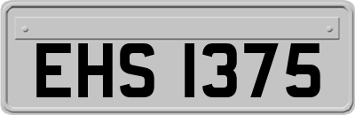 EHS1375