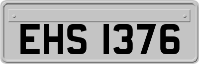 EHS1376