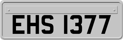 EHS1377