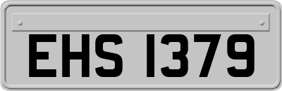 EHS1379
