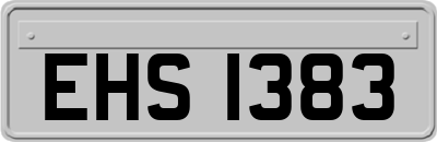 EHS1383