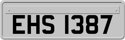 EHS1387