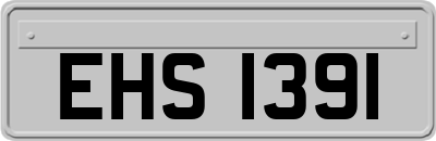 EHS1391
