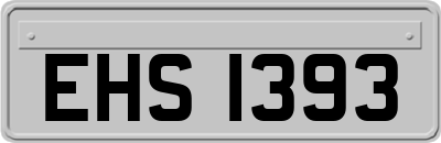 EHS1393