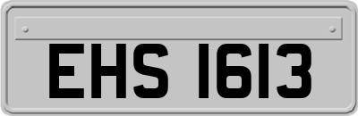 EHS1613