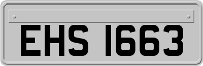 EHS1663