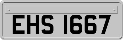 EHS1667