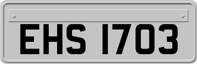 EHS1703