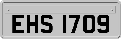 EHS1709