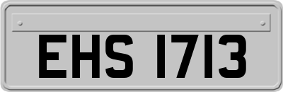 EHS1713