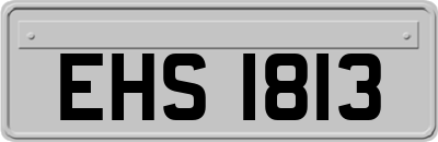 EHS1813
