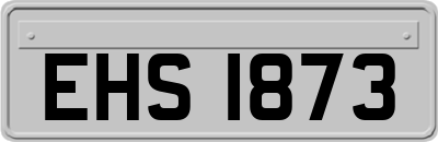 EHS1873
