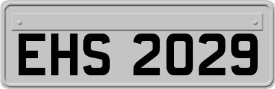 EHS2029