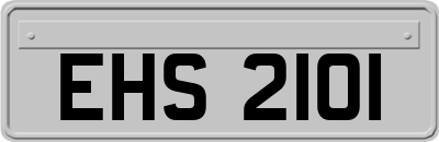 EHS2101