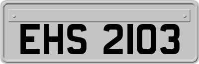 EHS2103