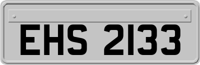 EHS2133