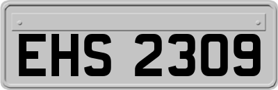 EHS2309