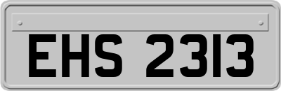 EHS2313