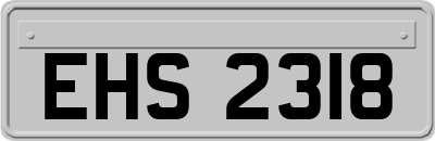 EHS2318