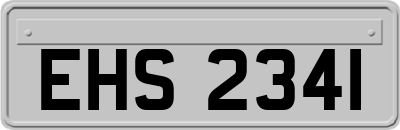 EHS2341