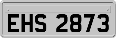 EHS2873