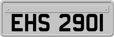 EHS2901