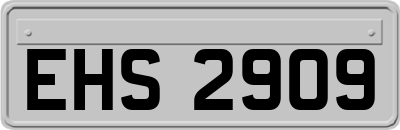 EHS2909