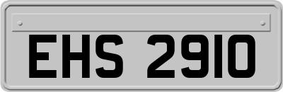 EHS2910