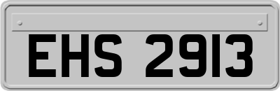 EHS2913