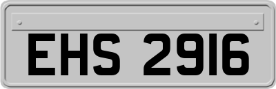 EHS2916