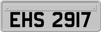 EHS2917
