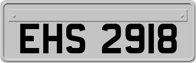 EHS2918