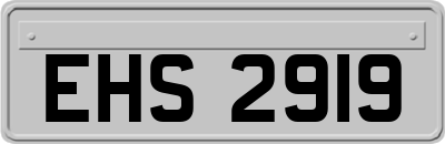 EHS2919