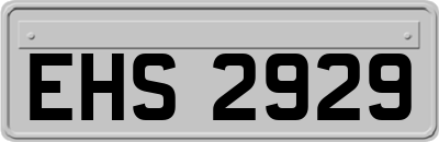 EHS2929