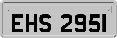 EHS2951