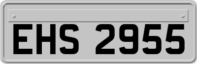 EHS2955