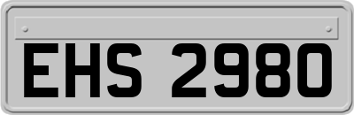 EHS2980