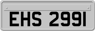 EHS2991