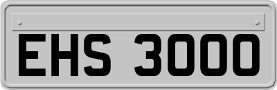 EHS3000